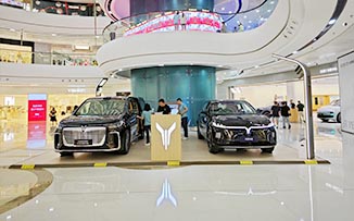 岚图汽车  X  东莞东城万达广场 